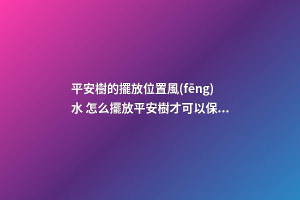 平安樹的擺放位置風(fēng)水 怎么擺放平安樹才可以保平安